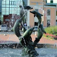 ЗЕЛЕНОГОРСК. Новый фонтан. / Zelenogorsk. New fountain., Зеленогорск