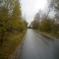 Дорога в Прибытково, Кобринское