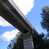 Северный пешеходный мост, Луга