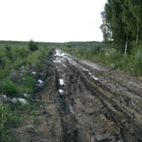 Mud, Парголово