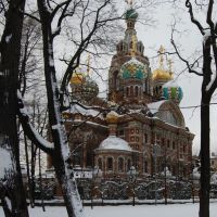The Church of the Savior on Blood. A view from Mikhajlovskij garden., Санкт-Петербург