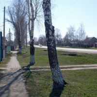 На ул. Володарского, Аркадак