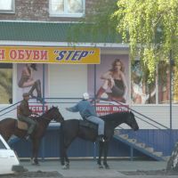 Кони на улицах Балашова!!!!, Балашов