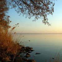 Mirror of water keeps silence, and the elm is flowering... . Spring on Volga., Ровное