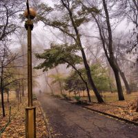 Autumn, Fog in park, Саратов