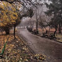 Autumn Fog, Саратов