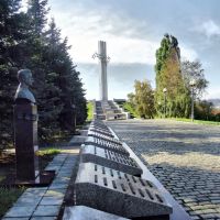 Monument "Cranes", Саратов