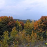 Осенний разноцвет, Хвалынск