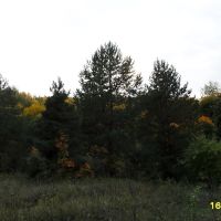 Осенняя сказка, Хвалынск
