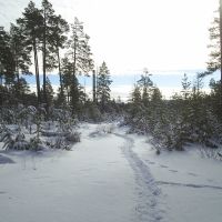 первый снег в лесочке, Нерюнгри