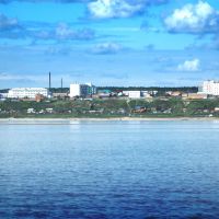 Вид на город Покровск (A view of the city Pokrovsk), Покровск