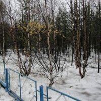 Муравленко начало зимы  2012, Муравленко
