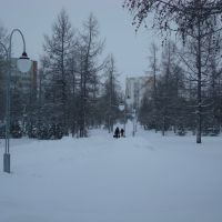 парк Зимой, Надым