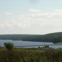 Вид на пруд (2007), Лесной
