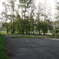 Стадион школы №71 (2007), Лесной