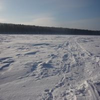 Замерший пруд, Дегтярск