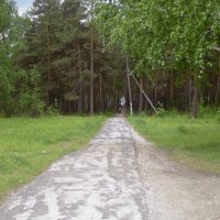 Дорожка к городскому пруду, Дегтярск