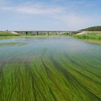 река Нейва, автомобильный мост в деревне Устьянчики, Зыряновский