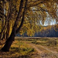 Золотая осень на Каменке (Майская поляна III), Каменск-Уральский