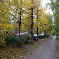 Осень, Краснотурьинск
