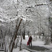 Первомайская пурга. Единственный островок цвета в черно-белом мире. Snowstorm on May 1, 2009. The only coloured spot, Первоуральск