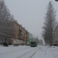 Улица Льва Толстого, Серов