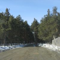 Дорога в лес, Сысерть