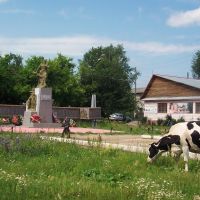 Корова и памятник, площадь пгт. Тугулым, Тугулым