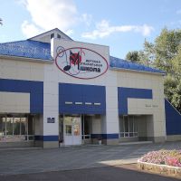 Музыкальная школа, Десногорск