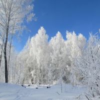 зима, Десногорск