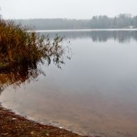 озеро Афанасьевское, Голынки