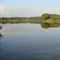 Reka vozle Konohovki, Шумячи