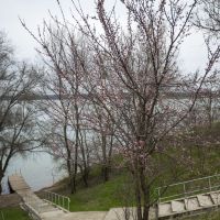 Весна в Солнечнодольске, Солнечнодольск
