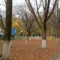 Осень в городском парке, 2013, Изобильный