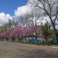 Novoaleksandrovsk, Новоалександровск