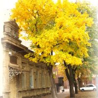 Autumn city., Ставрополь
