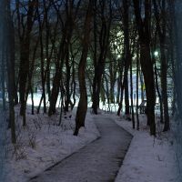 Track in forest at night., Ставрополь