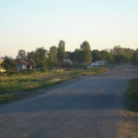 дорога между совхозом "Бондарсий" и СХТ, Бондари