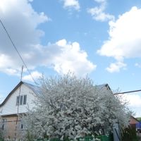 Весна в Гавриловке, Гавриловка Вторая