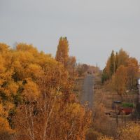 Дорога в МСО, Кирсанов