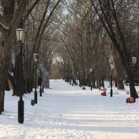 парк, Котовск