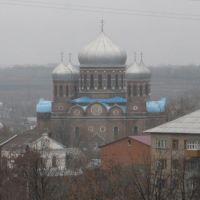 Боголюбский кафедральный собор, Мичуринск