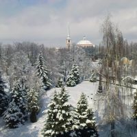 Зимний Мичуринск, Мичуринск
