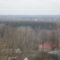 Панорама панских кустов, Мичуринск