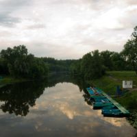 Утро на реке Лесной Воронеж, Мичуринск