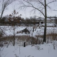 бычки во льду, Моршанск
