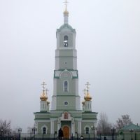 храм Александра Невского, Мучкапский
