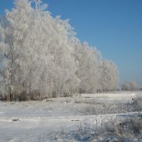 Зимняя дорога, Пичаево