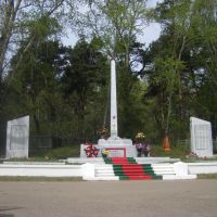 Памятник павшим в ВОВ 1941-1945гг., Васильево