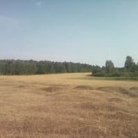 Маленькие холмики, Васильево